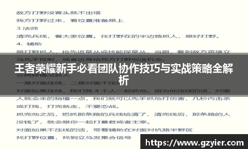 王者荣耀新手必看团队协作技巧与实战策略全解析